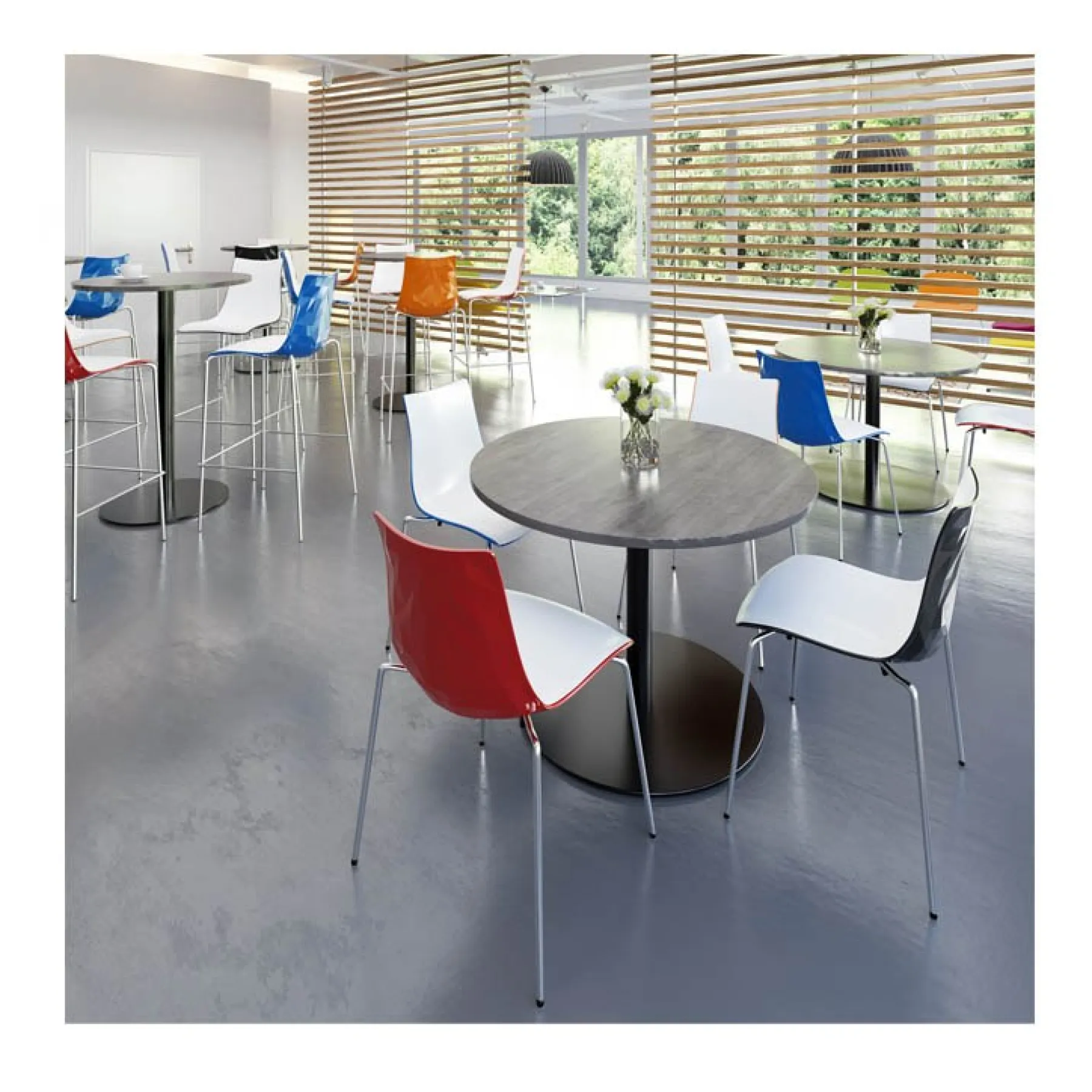 LOF direct Dams Gecko stool room 2