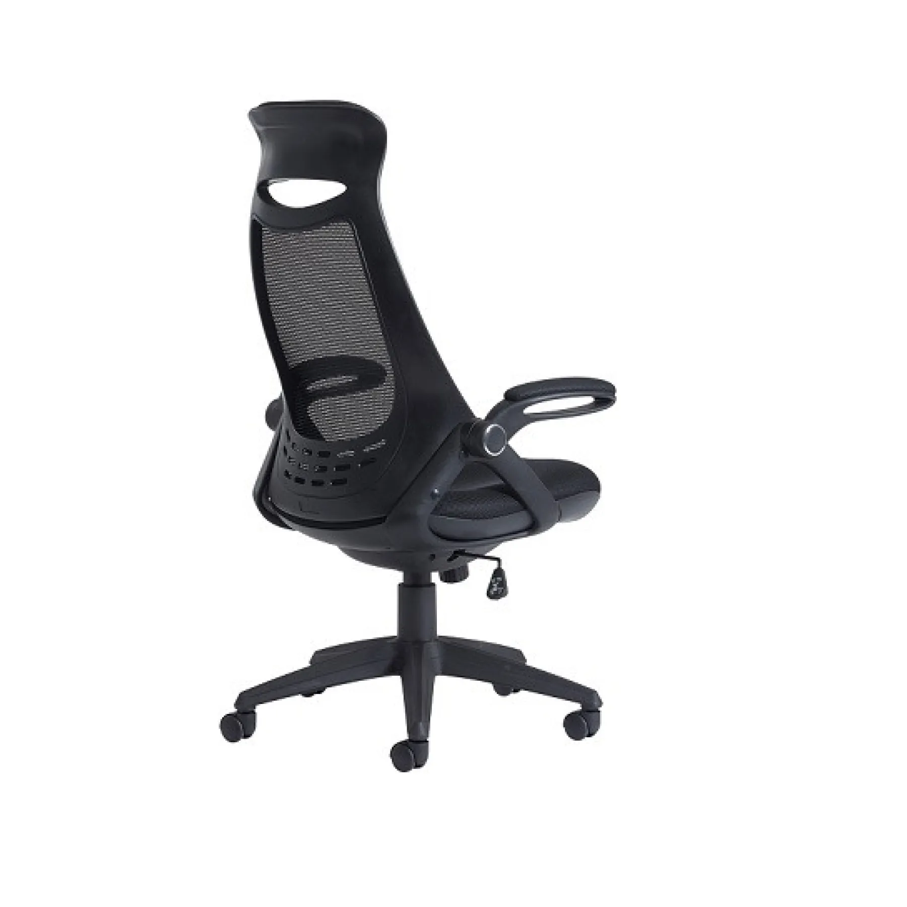 LOF Direct Dams Tuscan Executive Chair TUS300 T1 Mesh Rear