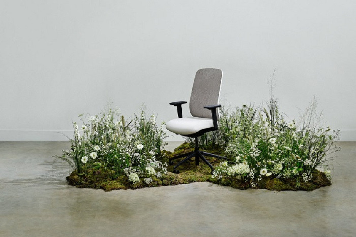 Lof Direct | Sia - The office task chair with the light carbon…