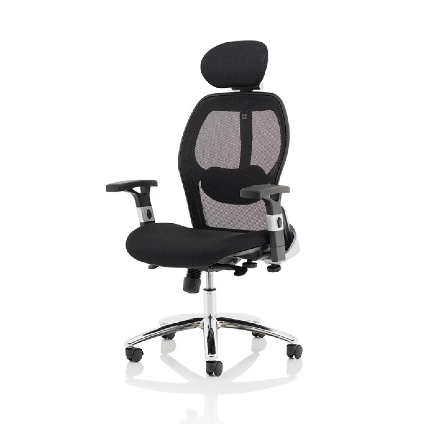 Sanderson ii ergonomic mesh executive office chair headrest 125kg angle