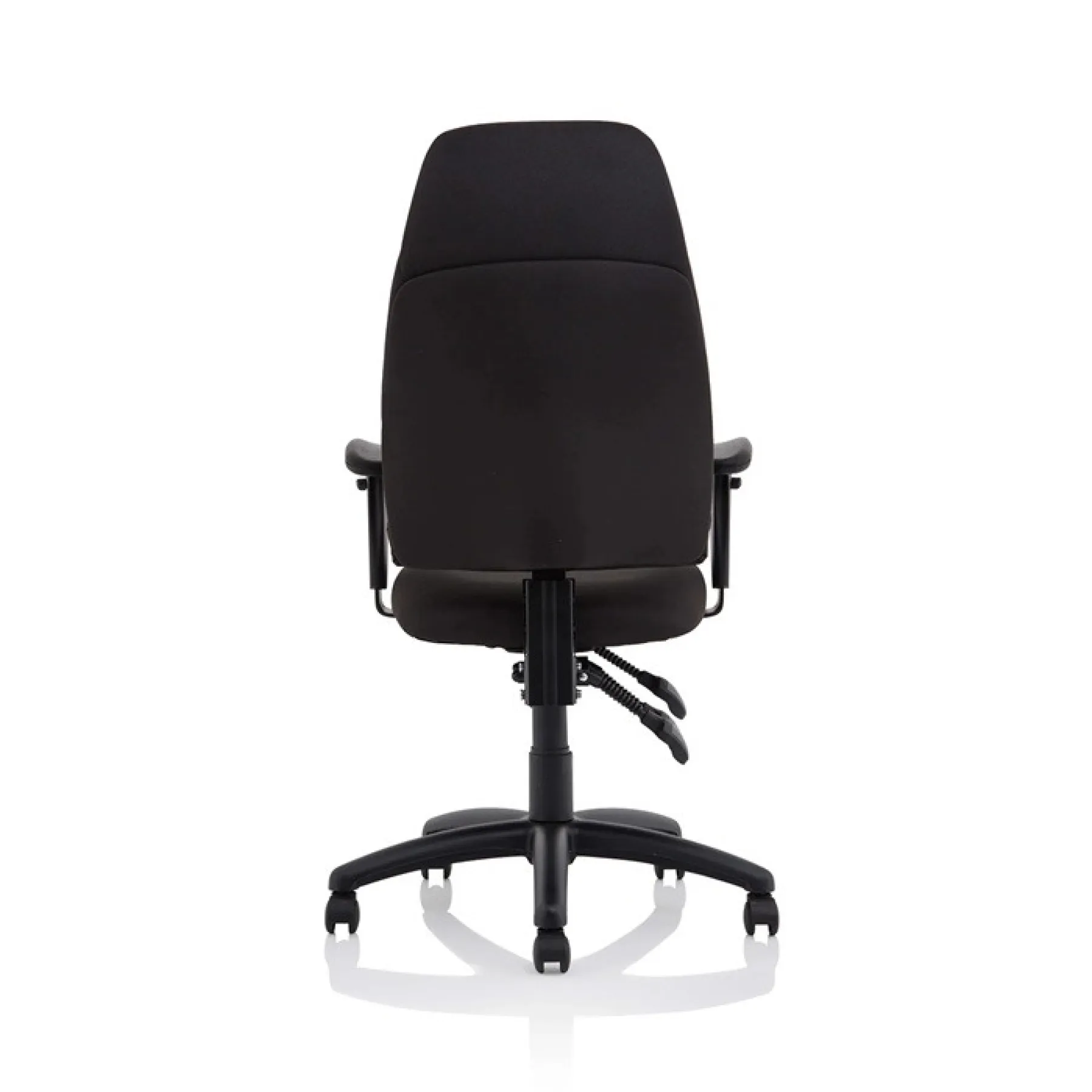 Esme high back posture office chair adjustable arms black fabric rear