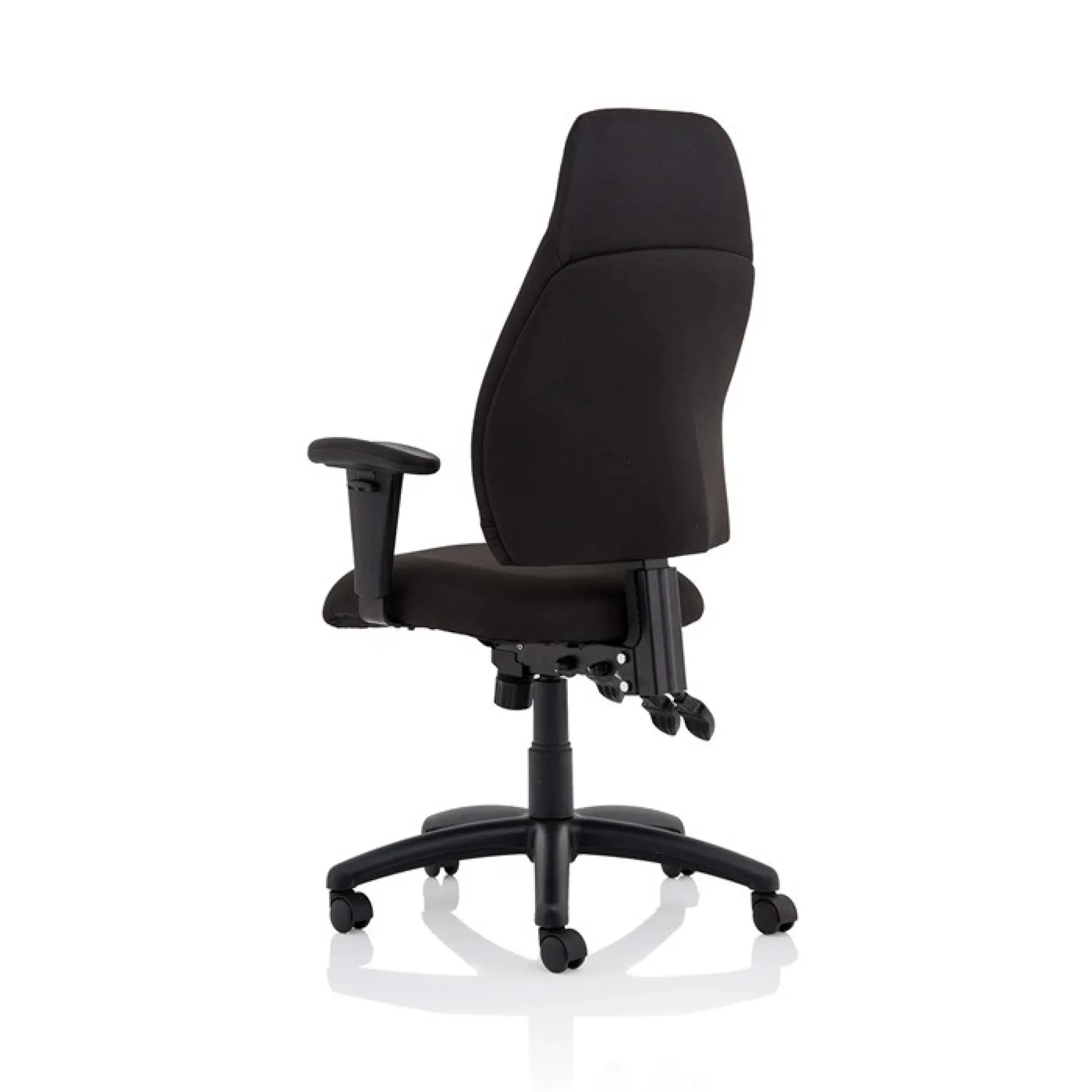 Esme high back posture office chair adjustable arms black fabric rear angle